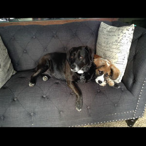 Meet your Posher, Mr